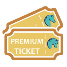 Ticket EquiDay Masterclass - Beste zicht
