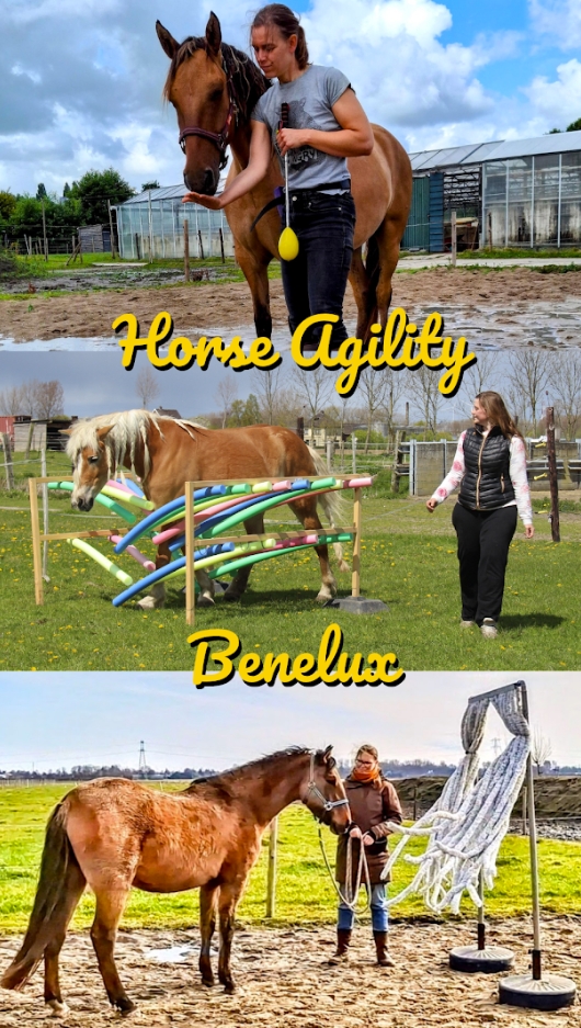 Horse Agility Benelux