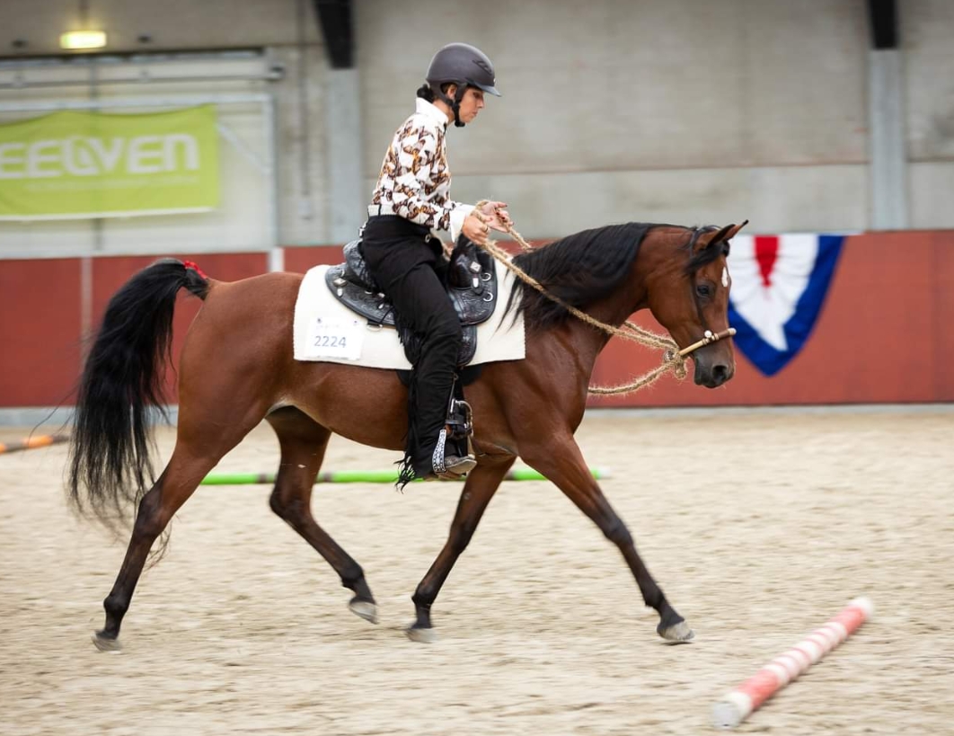 Amy Zoutberg Western met bosal