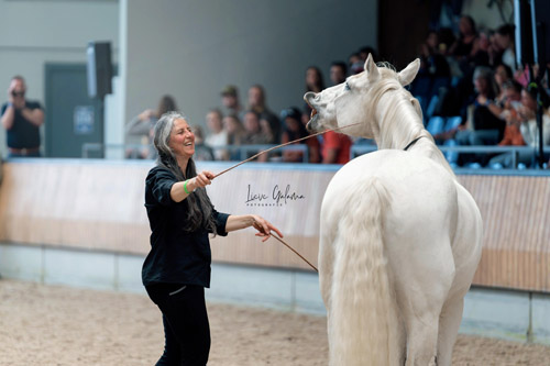 Barbara Eckstein Spelen-met-paarden