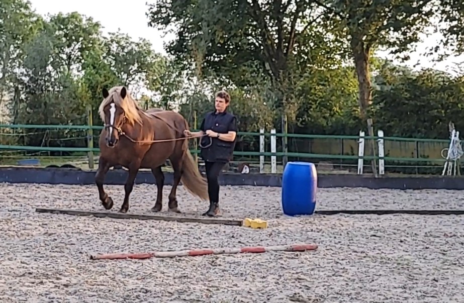 Berith Long Rein Playful Gymnastics