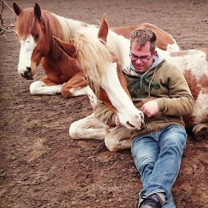 Bob Wenstedt schriktraining equiday paarden vuur rook show