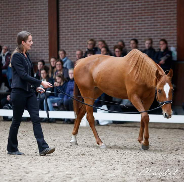 Celine van der Stroom