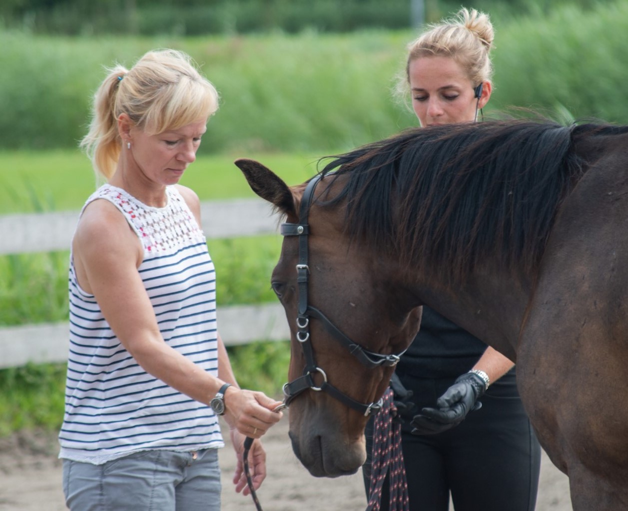 Celine van der stroom werken aan de hand