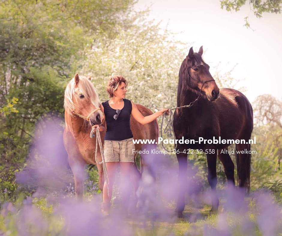 Frieda Klomp Paarden Problemen