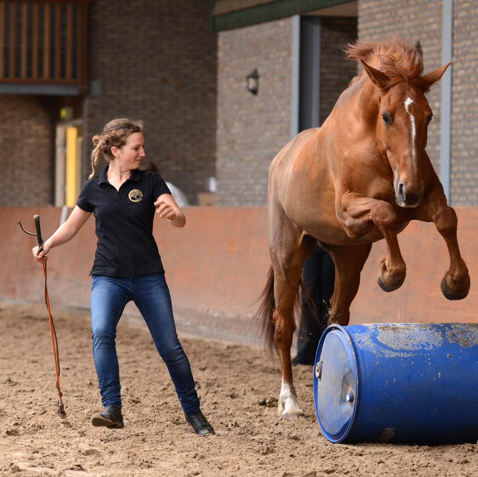 Jump Fun Fulvia Sommovigo Parelli