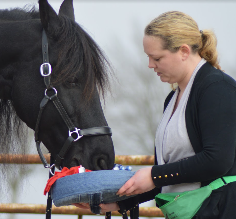 Hersenwerk met paarden