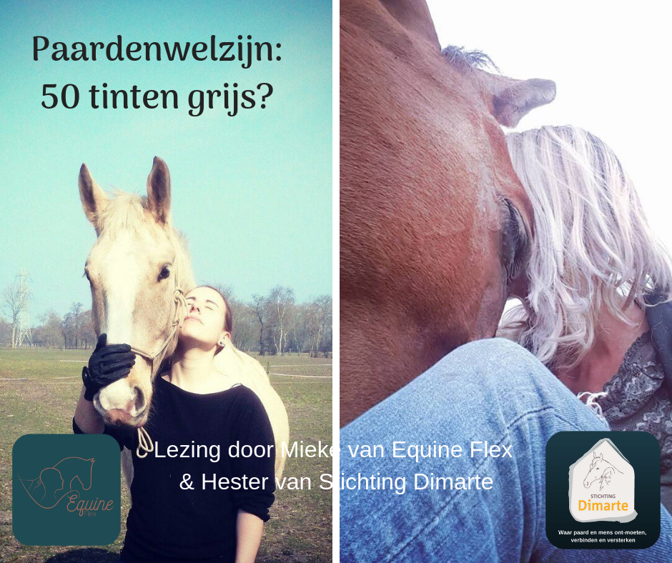 Hester Dimarte lezing 50 tinten grijs