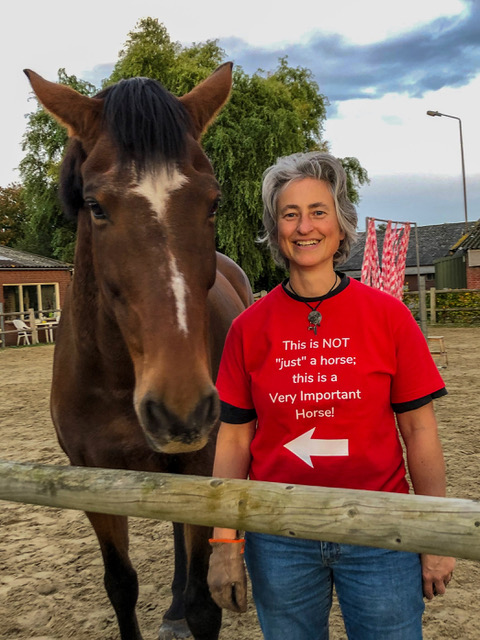 Hester Stasse Very important horse
