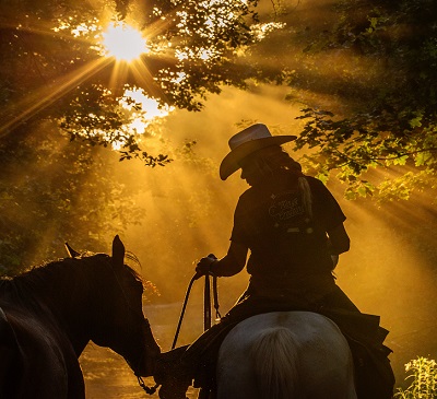 Irene Smeets performance horsemanship