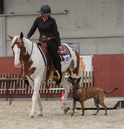 Jaime Keijzer paard en hond