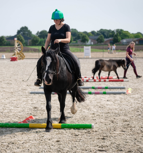 Jeannette Martens Versatility Horsemanship