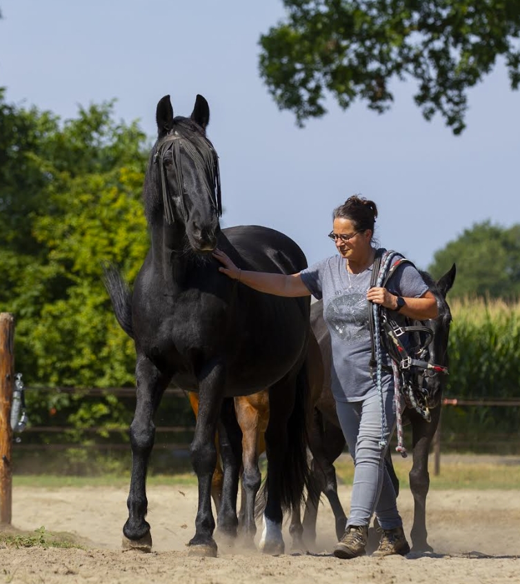 Jeannet Smulders HorSense paardencoaching