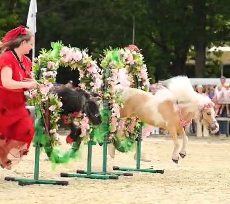 Kay en Ingrid minis met een missie