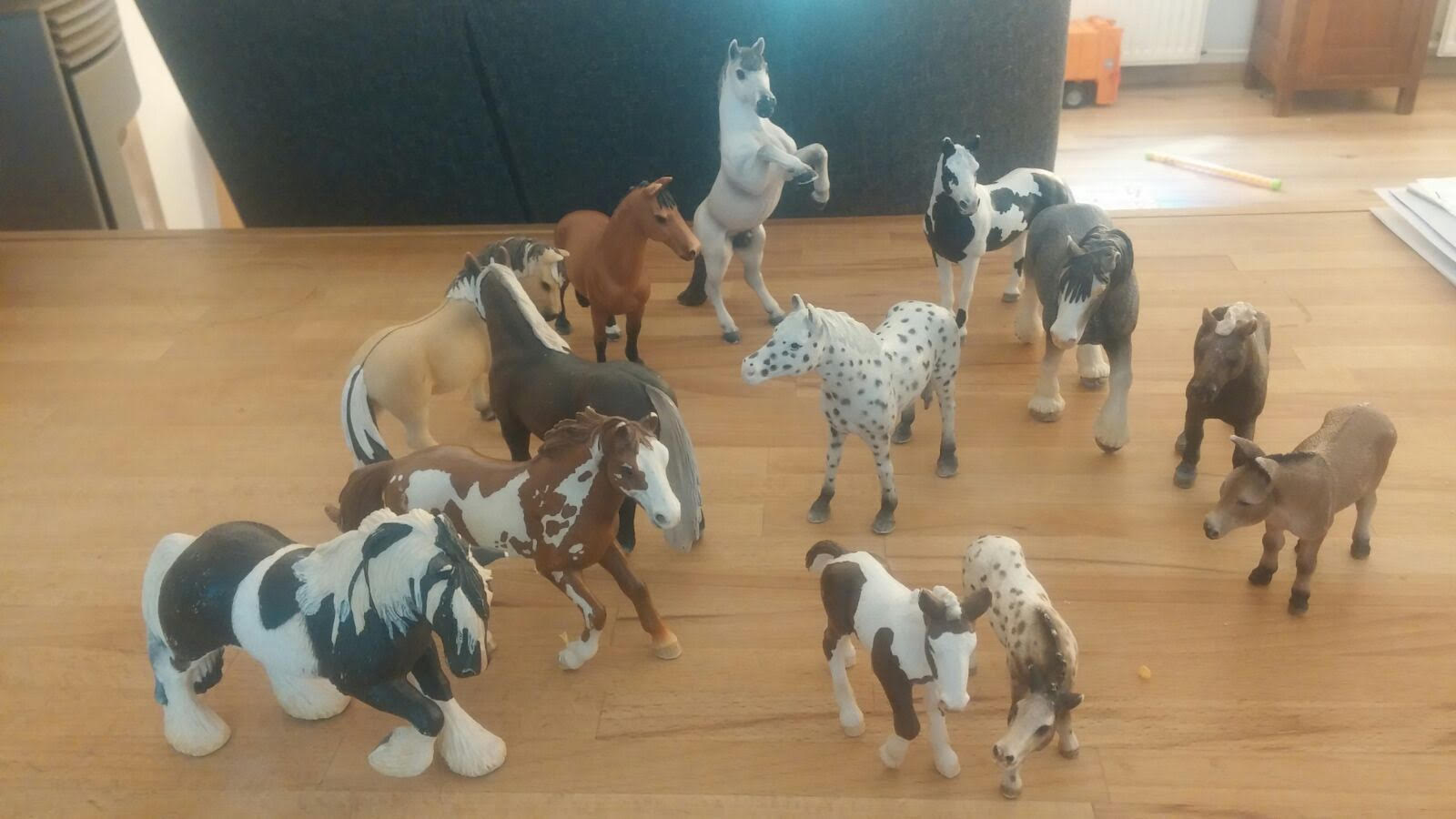 Kids met PK workshop paardencoaching op EquiDay