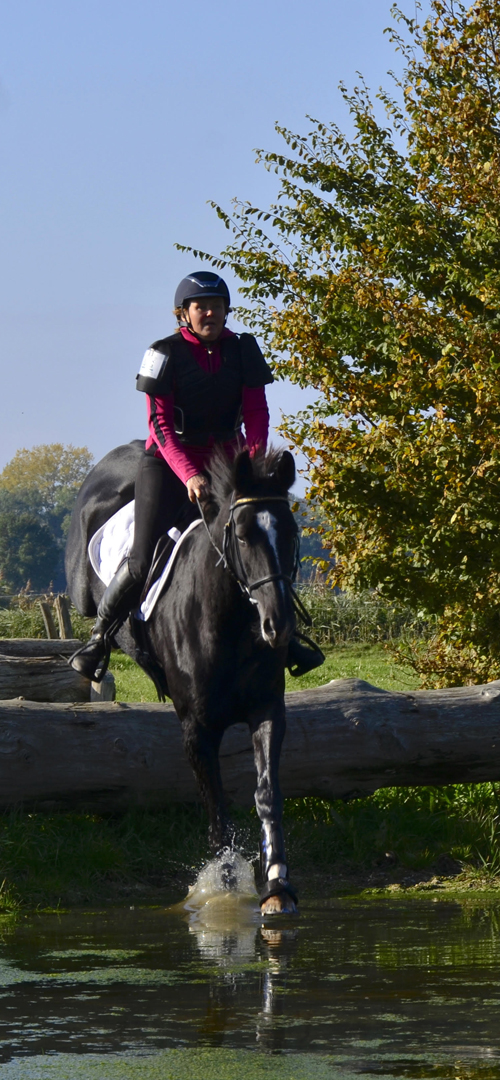 Liesbeth Jorna Sport Horsemanship jump