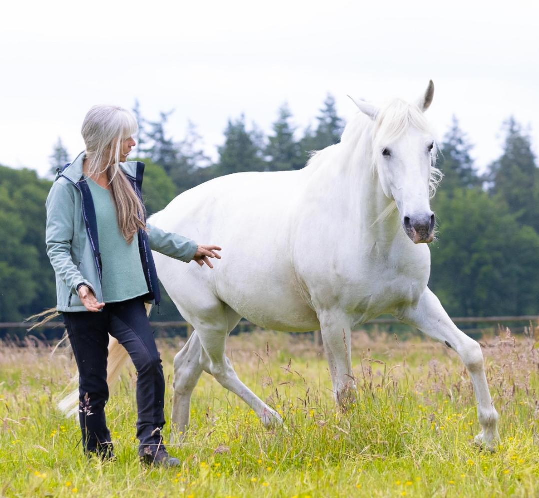 Lucie Klaassen liberty in verbinding