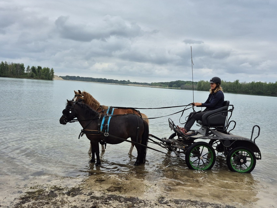 Marit Natuurlijk Pony mennen