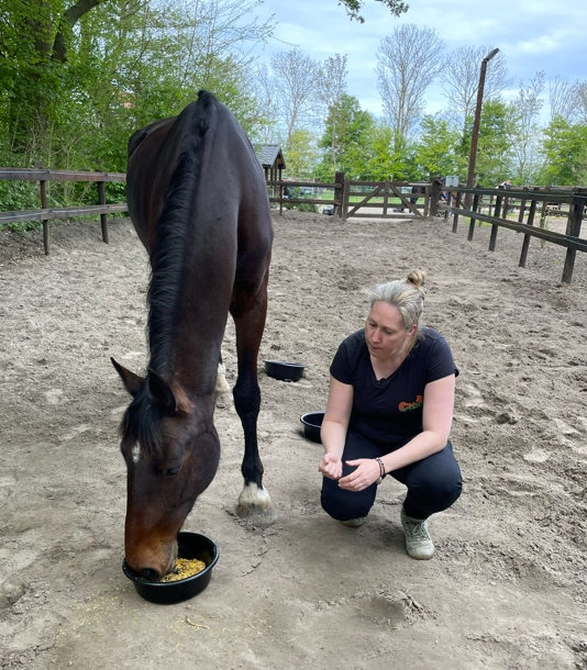 Miranda de Vries D-tails