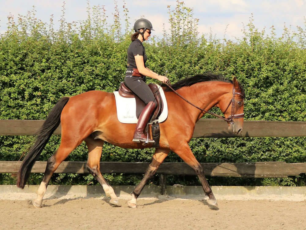 Mireille den Hoed TAKT Academy