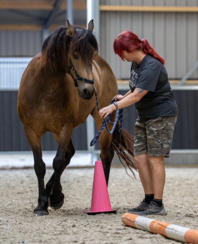 Nikki van Olst balkjes pionnen grondwerk