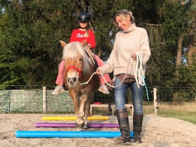 Tanja Stigter Anders leren met paarden lezing
