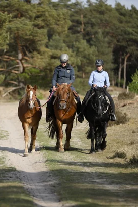 TT Ranch
