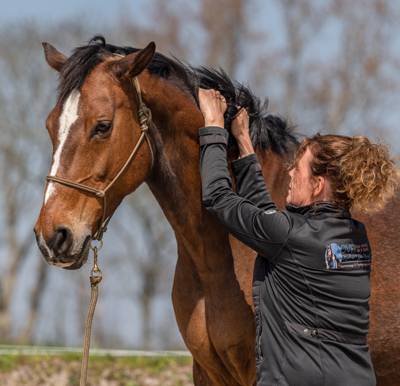Anita de Keijzer massage paard