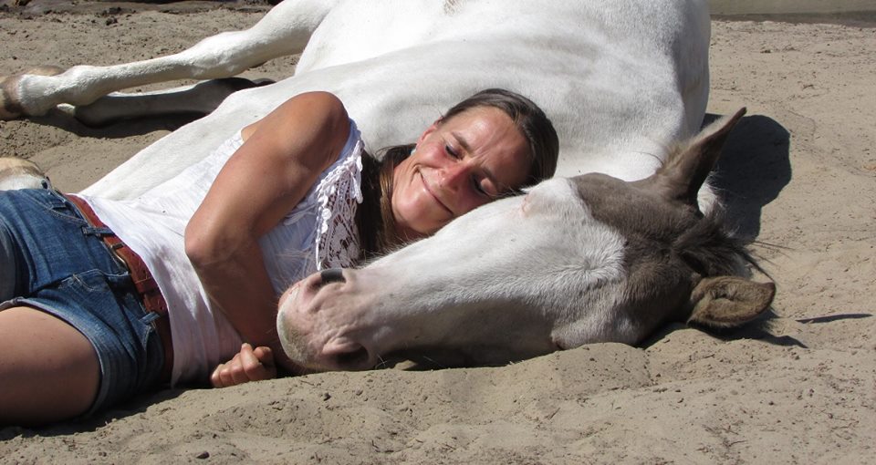 Claire Schroijen equicrown lymfesysteem paard equiday lezing