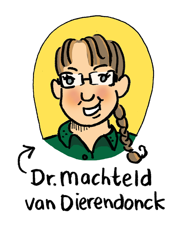 Machteld van Dierendonck