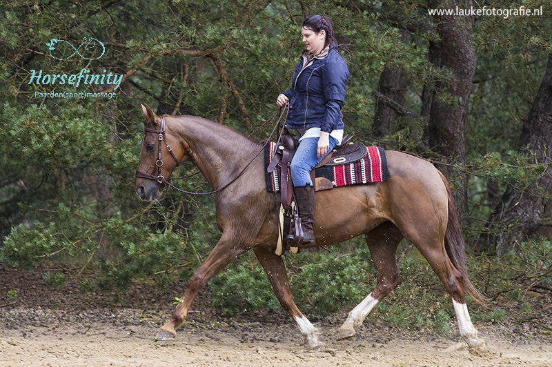 Melissa Horsefinity lezing EquiDay