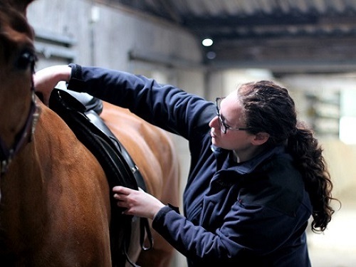 Raisa Fleisher Zadel-logisch lezing EquiDay