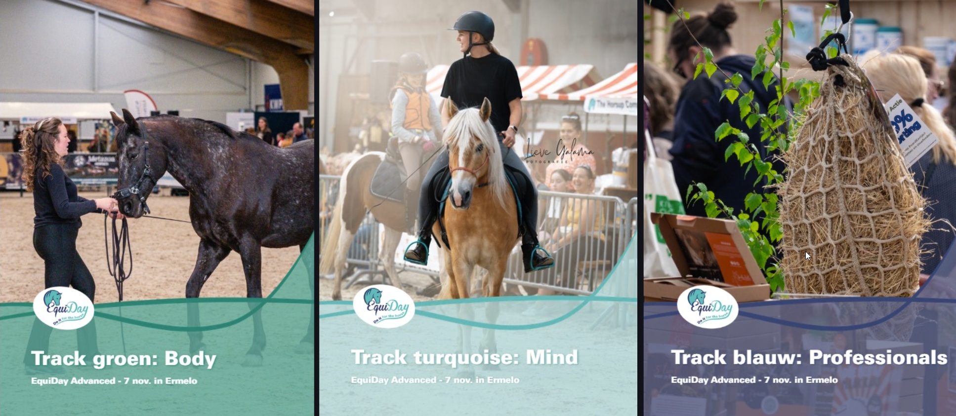 Titelplaatje van de drie tracks van Advanced. Dit zijn Body Mind en Business